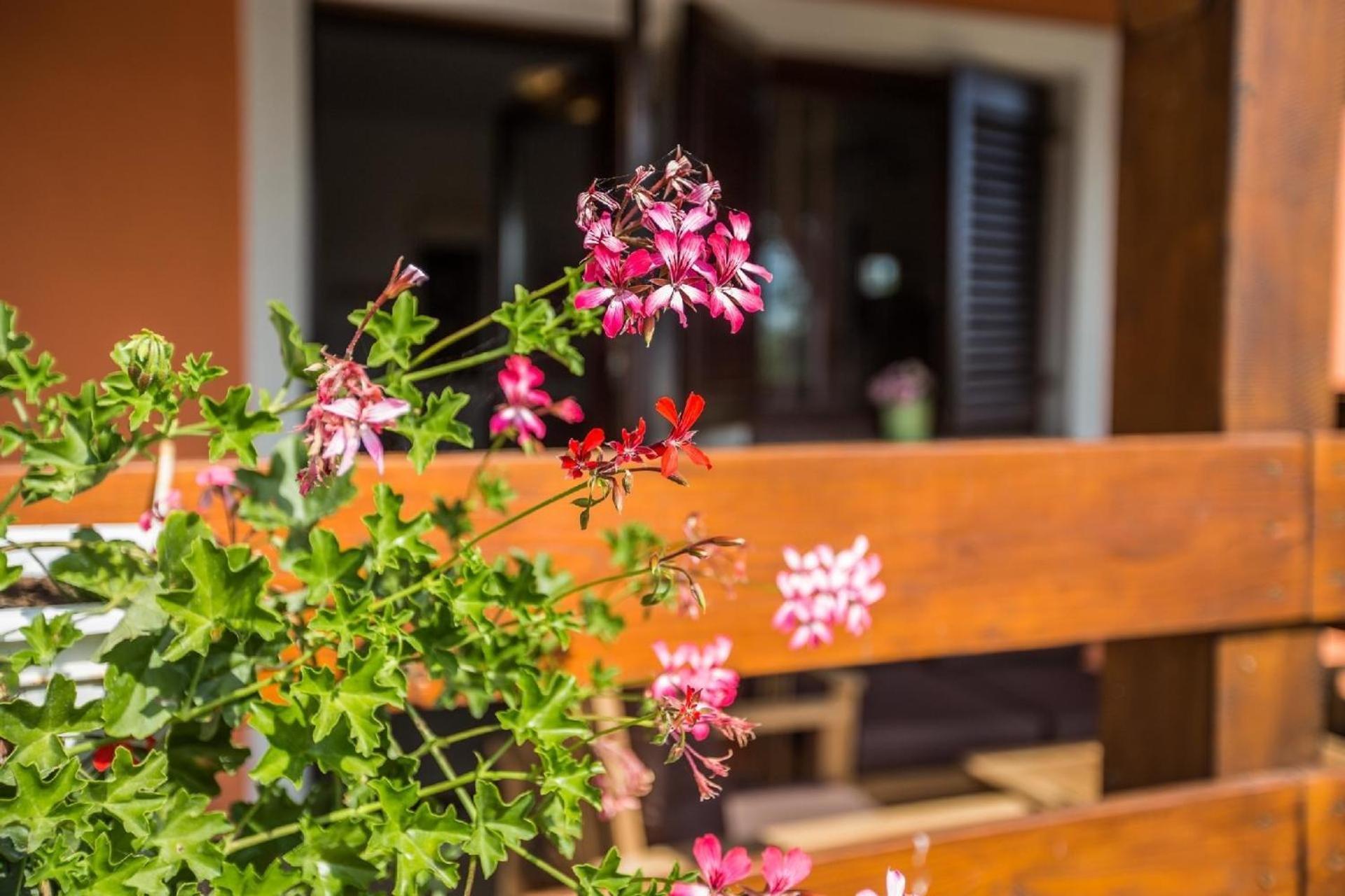 Mit Privatpool Fuer 6 Personen Ca 90 Qm In Pula, Istrien Istrische Riviera Prázdninový dům Pula